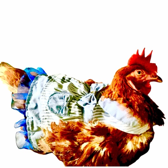 Meet your Posher, BLUE BIRD🌟 - Picture 7 of 10